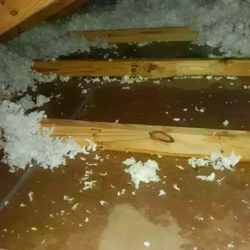 Attic Water Damage in Oakland, MO