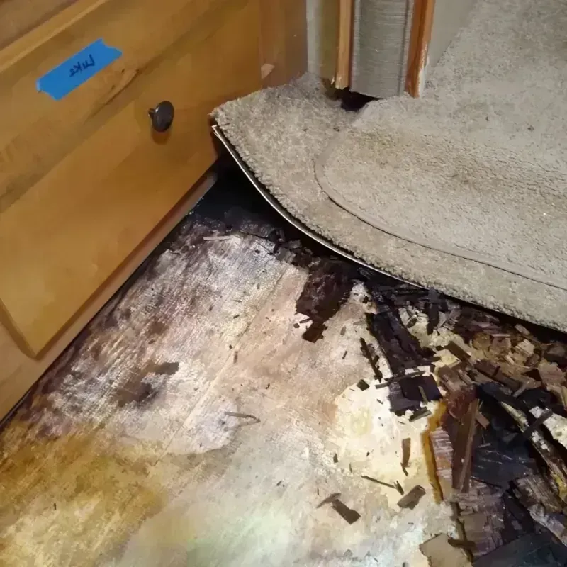 Wood Floor Water Damage in Oakland, MO